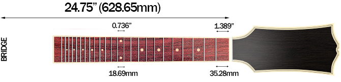 Gibson Custom Les Paul Axcess Standard Figured Floyd Rose Gloss's Scale Length