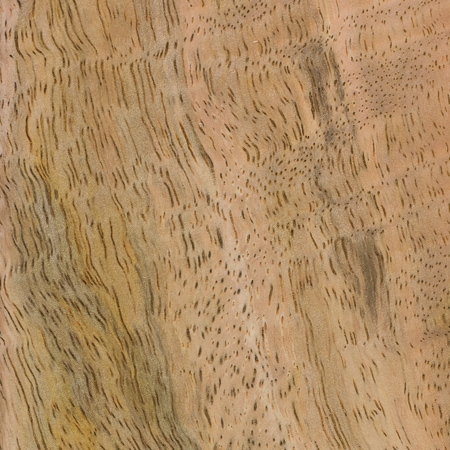 Mango wood pattern used for guitar building