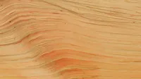 Alder wood texture.