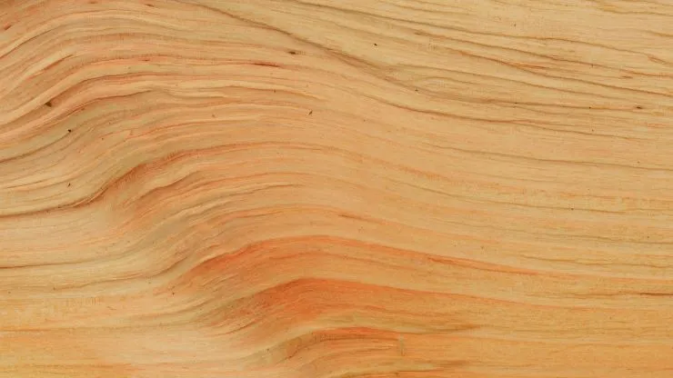 Alder wood texture.