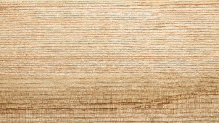 Ash wood texture.