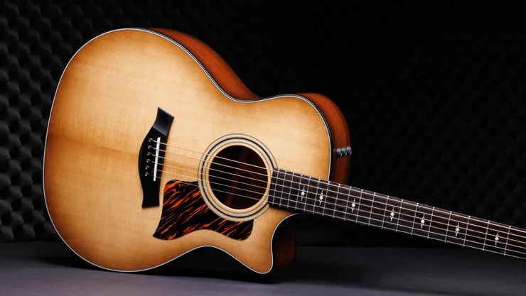 Taylor 314ce 50th anniversary edition