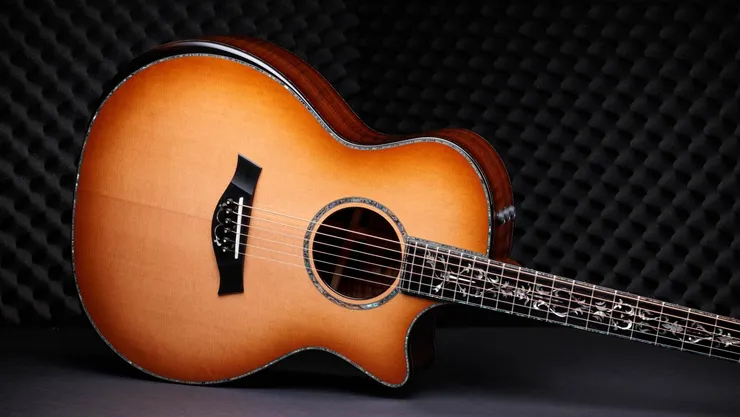 Taylor PS14ce 50th anniversary edition