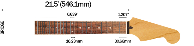 Reverend Billy Corgan Terz's Scale Length