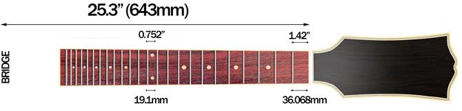 Fender CD-140SCE All-Mahogany and Fender CD-60SCE Dreadnought All-Mahogany's Scale Length