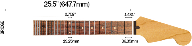 Dean Zero Select Evertune Fluence's Scale Length