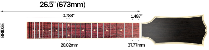 Schecter Hellraiser C-7's Scale Length