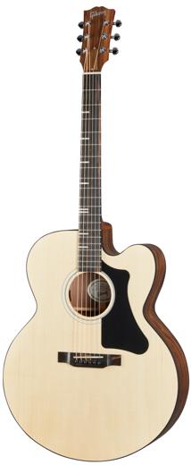Gibson G-200