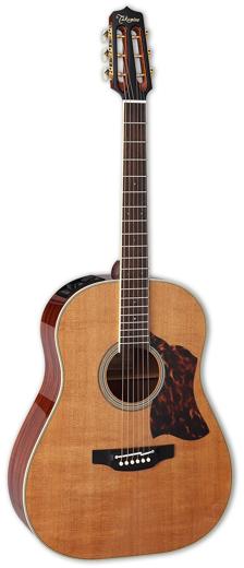 Takamine CRN-TS1 Review