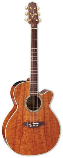 Takamine EF508KC Review