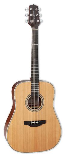 Takamine GD20 Review