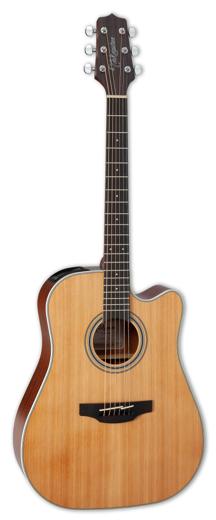 Takamine GD20CE Review