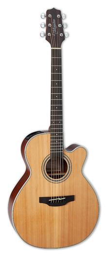 Takamine GN20CE Review