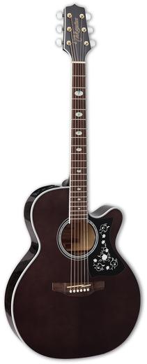 Takamine GN75CE Review