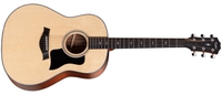 Taylor 317