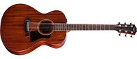 Taylor AD22e