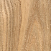 Ash wood pattern used for guitar building