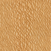 Lacewood wood pattern used for guitar building